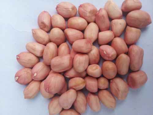 clean peanut kernels